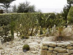 130 Ile de Batz Jardin Georges Delaselle_000041